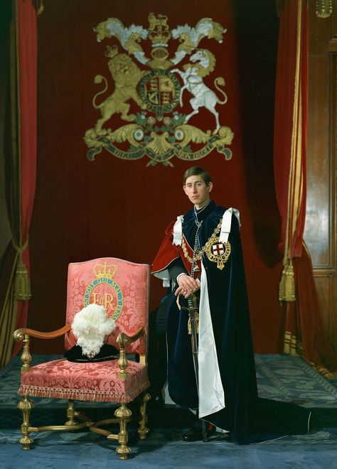 The Prince of Wales in the robes of the Order of the Garter by Godfrey Argent (1968) Noble Ranks, Elizabeth Queen Of England, Prinz Charles, Order Of The Garter, Royal Family Pictures, English Royal Family, Royal Family England, Elisabeth Ii, British Royal Families