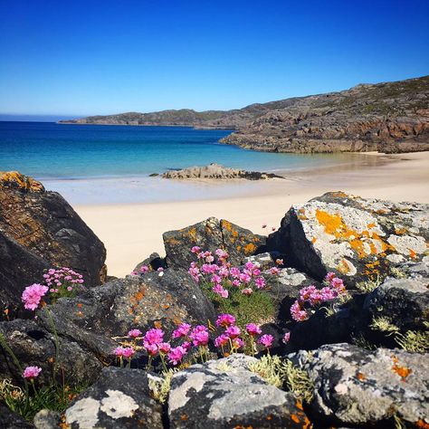 Sea Side Landscape, Scotland Seaside, Achmelvich Beach, Scottish Beach, Beautiful Scotland, Bonnie Scotland, Beach Illustration, Isles Of Scilly, Coastal Landscape