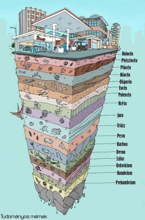 Infographic Examples, Easter Island Statues, Spa Jacuzzi, Conceptual Artwork, Creative Infographic, Teaching Science, Earth Science, Editorial Illustration, First Photo