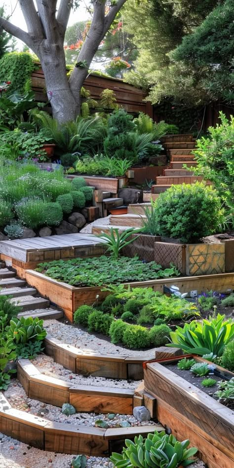 Tiered Garden Beds, Unique Raised Garden Beds, Steep Gardens, Terraced Garden, Sloped Backyard Landscaping, Hillside Garden, Sloped Backyard, Garden Stairs, Tiered Garden