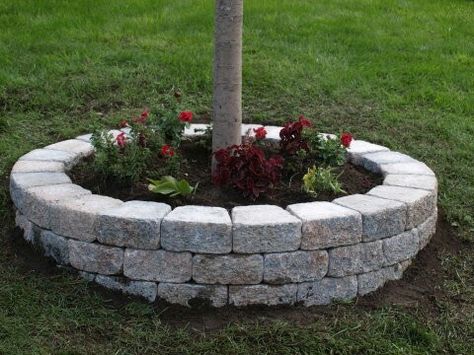 Tree ring pavers Building A Retaining Wall, Landscaping Around Trees, Landscaping Retaining Walls, Brick Garden, Easy Landscaping, Yard Project, Landscape Designs, Yard Design, Landscaping Tips