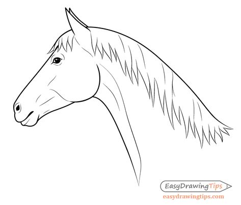 How to Draw a Horse From the Side View Tutorial - EasyDrawingTips Head Side View Drawing, Side View Tutorial, Horse Head Side View, Horse Face Drawing, Head Side View, Easy Horse Drawing, Body Proportion Drawing, Horse Head Drawing, Side View Of Face