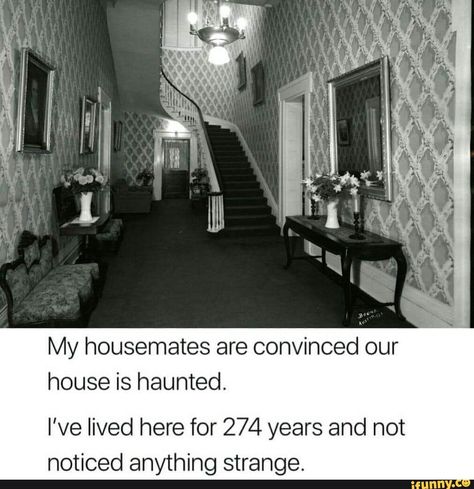 My housemates are convinced our house is haunted. I’ve lived here for 274 years and not noticed anything strange. Paranormal Photography, Short Scary Stories, Short Creepy Stories, Spooky Memes, Horror Ghost, Scary Facts, Creepy Facts, Scary Creepy, Scary Stories