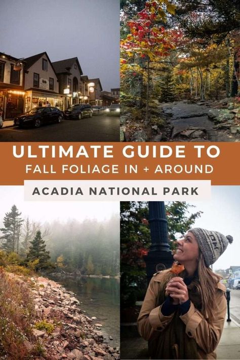 Planning to experience fall in Acadia National Park or Bar Harbor? This is the only guide you need to read to learn everything you need to know to experience fall in Bar Harbor and Acadia National Park! We'll cover where to stay in Bar Harbor, the best spots for instagram photos, fall hikes in Acadia National Park, tips for seeing peak foliage, and much more! Fall In Bar Harbor Maine, Bar Harbor Maine Fall, Maine Fall Vacation, Maine Engagement Photos, Kancamagus Highway, Acadia Maine, Maine In The Fall, Maine Trip, Fall Hikes