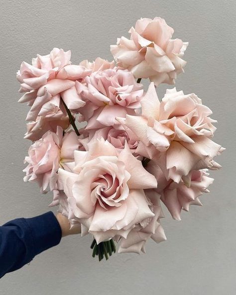 Bride Bouquet Pink, Quicksand Rose, Pink Rose Wedding Bouquet, French Roses, Flower Magic, Dusty Pink Weddings, Blush Bouquet, Pink Rose Bouquet, Flower Guide