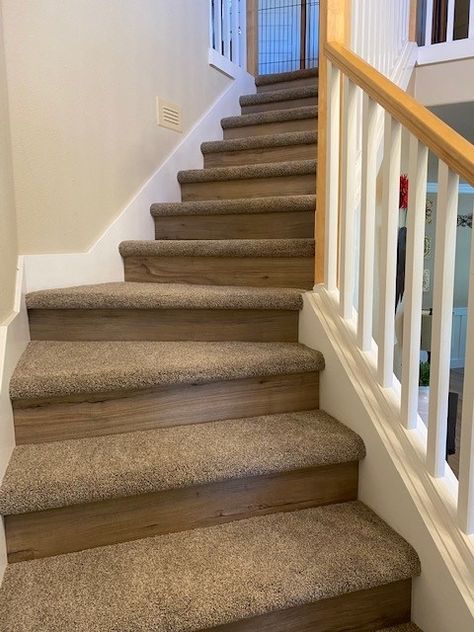 Stair Carpet Tread & LVP Flooring Riser : The Floor Store Carpet On Basement Stairs, Carpet Stairs To Wood Transition, Stair Idea, Autumn Drive, Carpet Treads, Lvp Flooring, Carpet Stair Treads, Stair Carpet, Basement Stairs