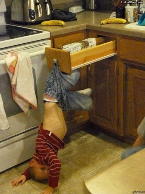 24 People That Heard "Get Help" As "Get The Camera!" Laugh Of The Day, Laughing So Hard, Bones Funny, Upside Down, Funny Kids, Funny Photos, Mood Pics, Funny Images, Dumb And Dumber