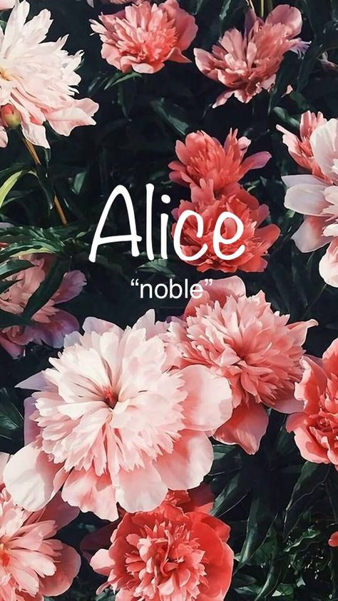 Alice Name Aesthetic, Alice Name Meaning, Alice Name, Name Aesthetic, Oc Names, Names Meaning, Unusual Names, Fantasy Names, Beautiful Names