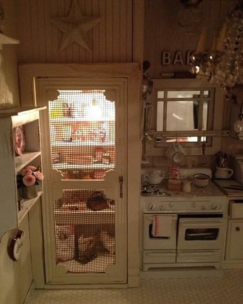 Screen Door Pantry, Old Screen Doors, Rustic Country Kitchens, Diy Pantry, Primitive Kitchen, Pantry Door, Miniature Kitchen, Pantry Design, Screen Door