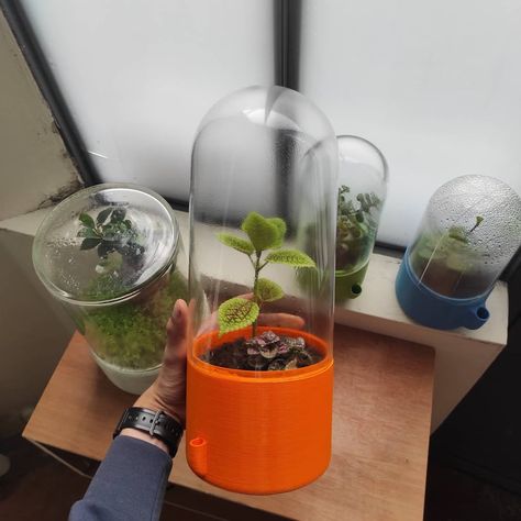 Ikea Glass, Terrarium, 3d Printing, Plants, Glass, Design