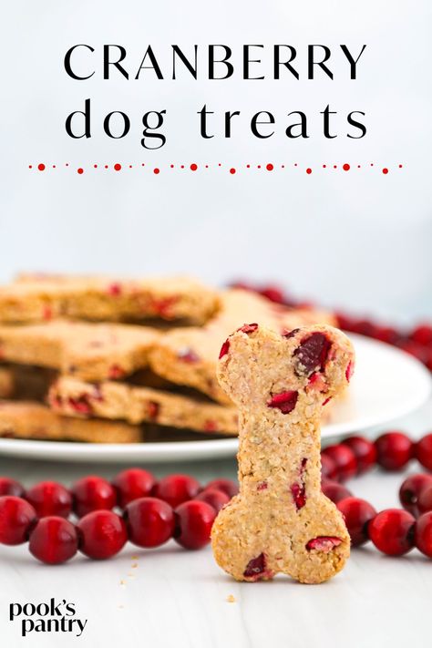 Meatballs For Dogs, Cranberry Dog Treats, Dog Biscuit Recipe, Cranberry Treats, Healthy Dog Biscuits, Holiday Dog Treats, Pantry Recipe, Dog Treats Recipe, Pet Treats Recipes