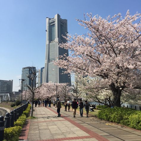 yokohama Yokohama Japan Aesthetic, Yokohama Aesthetic, Japan Scenery, Shifting Board, Japan Core, Dog Doctor, Japan Spring, Japan Life, Black Roses