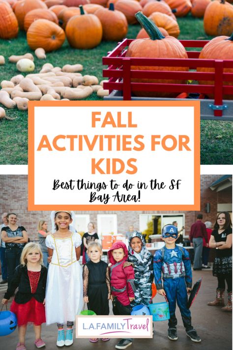 Fall in the San Francisco Bay Area: Best Things to Do with Kids 2021 - LA Family Travel Homeschool Corner, Biblical Homeschooling, Fall Activities For Kids, Freetime Activities, Homeschool Crafts, Millennial Mom, Fun Fall Activities, Autumn Activities For Kids, Kids Moves