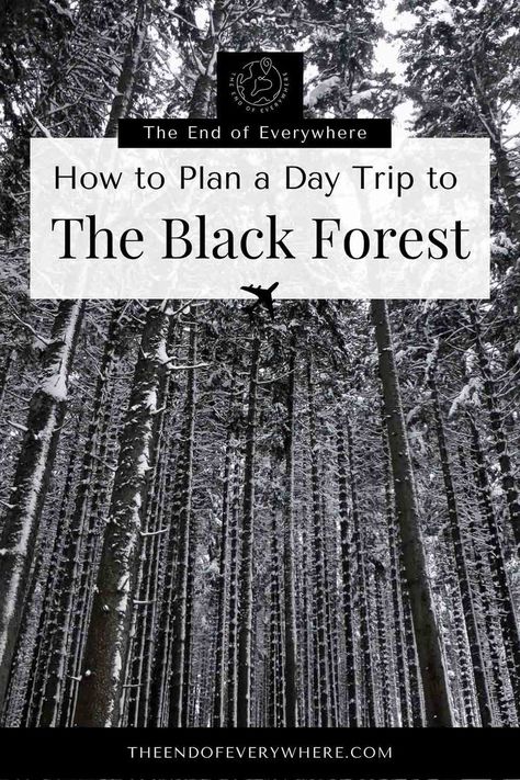 Picture of trees in winter covered in snow Plan A Day, Black Forest Germany, Moving To Germany, The Black Forest, One Day Trip, Black Forest, Plan A, The Forest, Travel Journal