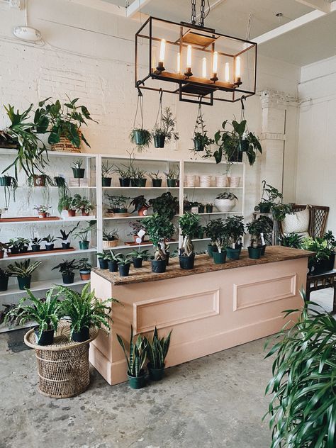 Plant Store Ideas Vintage, Plant Shop Display, Plant Store Display, Plant Shop Interior, Small Flower Shop Interiors, Plant Store Ideas, Plant Shop Ideas, Plant Boutique, Lover Of My Soul