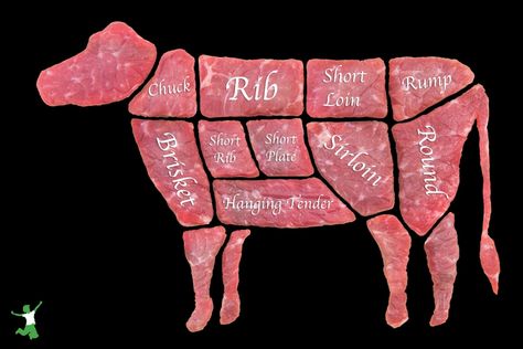 How to "Split a Cow" and Save Big with Beef Shares | Healthy Home Economist Senior Year Art, Cow Meat, Beef Farming, Beef Cow, How To Split, Funny Rock, Grass Fed Meat, Beef Tallow, Freezer Burn