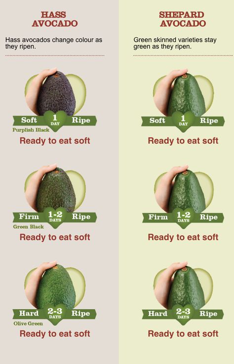 How to test a an avocado for ripeness Avocado Health Benefits, Fruit Picking, Dinner On A Budget, Food Info, Avocado Recipes, Easy Healthy Breakfast, Food Facts, Fruit And Veg, Farmer's Market