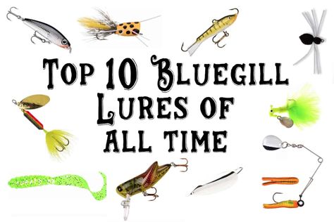 Bluegill Bait, Rapala Fishing Lures, Bluegill Fishing, Live Bait, Lure Making, Bait And Tackle, Fishing Rigs, Crappie Fishing, Freshwater Fishing