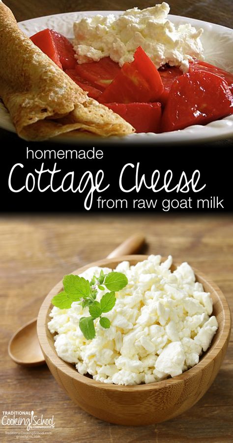 Homemade Cottage Cheese From Raw Goat Milk | Cottage cheese, crepes, and heirloom tomatoes... I can't describe what tomatoes and cottage cheese do for my taste buds, but let's just say it is perfection! The raw cheese delivers vitamins, enzymes, and beneficial probiotics. In this post, I show you how to make easy, homemade cottage cheese. | TraditionalCookingSchool.com Cheese Crepes, Homemade Cottage Cheese, Cheese Recipes Homemade, Raw Goat Milk, Cheese Making Recipes, Raw Cheese, Goat Milk Recipes, Making Cheese, Goat Cheese Recipes