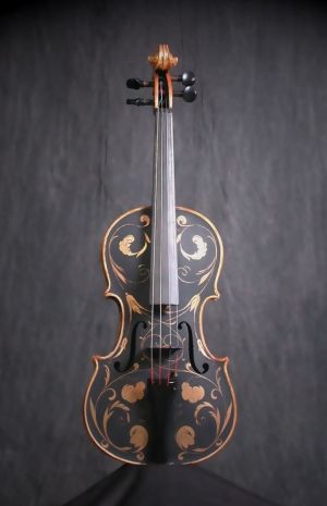 I want this :P I also want to paint violins :) Mariachi Drawing, Painted Cello, Painted Violin, Violin Painting, Violin Photography, Learn Acoustic Guitar, Cool Violins, Violin Instrument, Violin Art