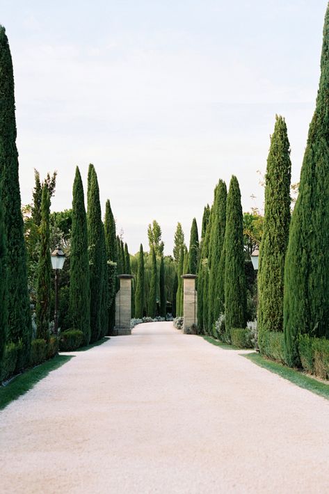 Nestled in the fabled hills of Tuscany, stands Borgo Santo Pietro. Elegant. Peaceful. Revitalizing. When you walk onto the property, you won’t be surprised to discover that Borgo Santo Pietro was once a healing stopover on a medieval pilgrimage. Warmth, healing, and peace just radiate from the bones of this property. Borgo Santo Pietro, Portrait Editorial, Gorgeous Scenery, Italian Wedding, Pool Houses, Luxury Resort, Pilgrimage, Home Wedding, Small Towns