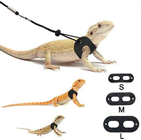 Bearded Dragon Outfits, Lizard Harness, Bearded Dragon Leash, Bearded Dragon Enclosure Ideas, Bearded Dragon Toys, Bearded Dragon Harness, Lizard Cage, Bearded Dragon Clothes, Dragon Pet