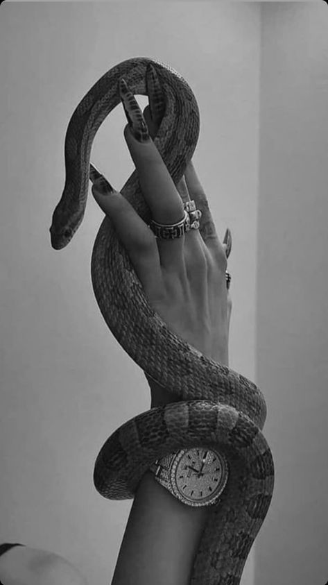 A Snake, Tattoos