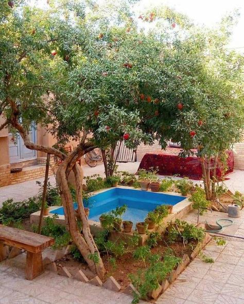 Siraz Persian Decor, Beautiful Iran, Courtyard Pool, Iran Pictures, Iranian Architecture, Persian Garden, Mud House, Persian Architecture, Iran Travel