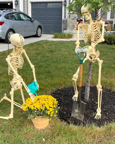 Skeletons Outdoor Decor, Skeleton Scene Ideas, Posing Skeletons For Halloween, Skeleton Placement Ideas, Front Yard Skeleton Ideas, Skeleton Scenes, Skeleton Yard Display, Skeleton Front Yard Decor, Skeleton Ideas For Yard