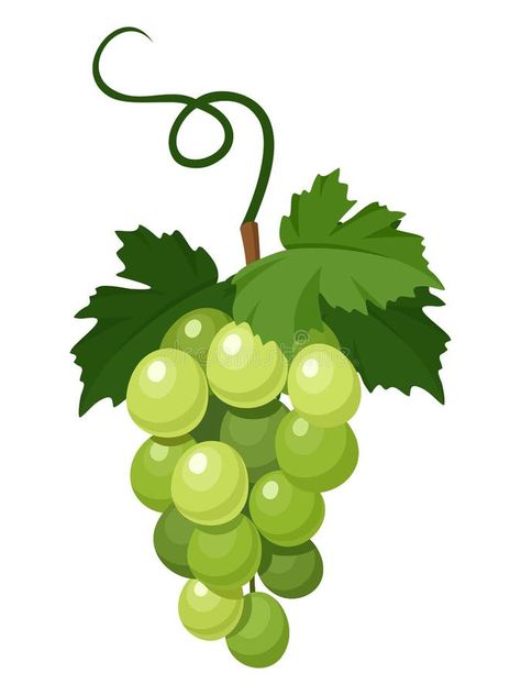 Grape Illustration, Caracter Design, Purple Grapes, Green Grapes, Magazines For Kids, Red Grapes, Black Silhouette, Cartoon Images, Editorial Illustration