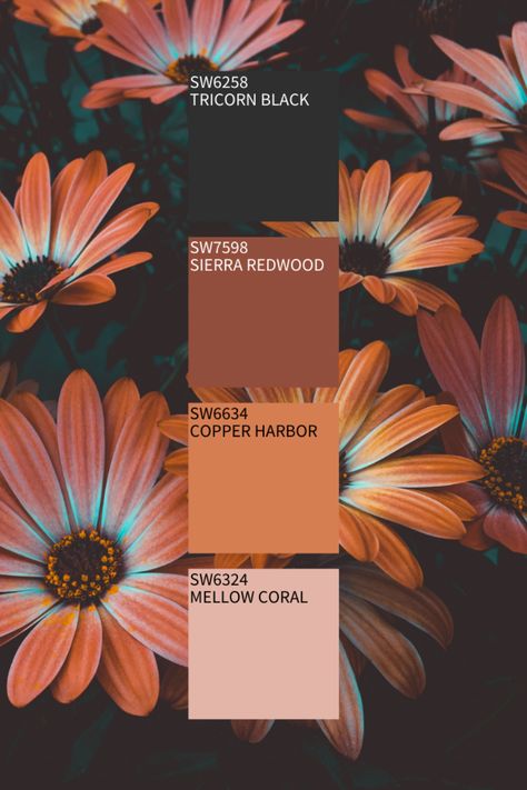 Fall Theme Color Palette, Fall Pastels Colors, Colors Of September, Fall Colors With Hex Codes, Fall Pallets Colors, Fall Wedding Swatches, Sherwin Williams Fall Color Palette, Colors With Black, Colors That Go Well With Black