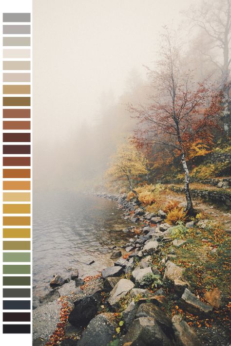 naturalpalettes: photo by Elena Morelli Mediterranean Garden Design, Earth Tone Color, Color Schemes Colour Palettes, Nature Color Palette, Autumn Scenery, Color Palette Design, Winter Landscape, Colour Schemes, Color Swatches