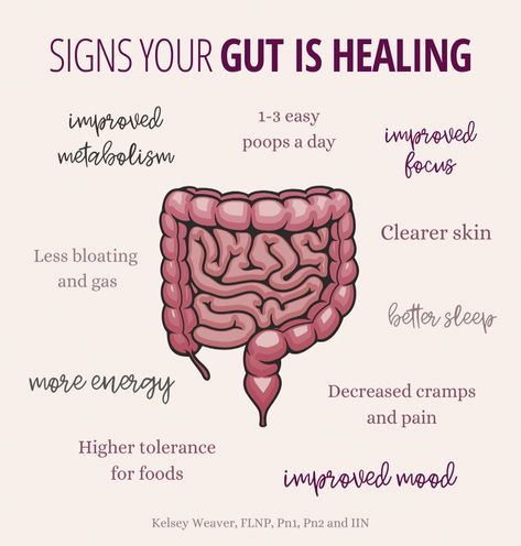 It takes a lot of work to heal the gut! The key is consistency and patience. It took a long time for your gut to be out of balance. So be patient with your body, and continue through strategies that makes sense for your symptoms. You will most likely feel better in some areas, while others may take longer. And that's OK! Adopting a healthy lifestyle that last ...#Actually #10 #SelfCare #NutritionTips #Health #EvidenceBased #FitnessTips #That #Wellness #Tips #and #HealthyLiving #Nutrition #Are Heal Your Body With Food, Healing Gut Health, Heal The Gut, Gut Health Diet, Gut Health Recipes, Healthy Hormones, Feminine Health, Leaky Gut, Hormone Health