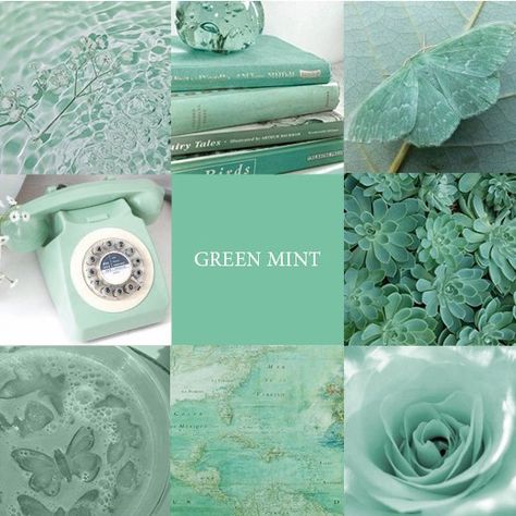 Mood Board Colors, Mint Green Mood Board, Unique Color Names, Elegant Colours, Color Knowledge, Beautiful Eyes Color, Painting Flowers Tutorial, Color Design Inspiration, Space Illustration