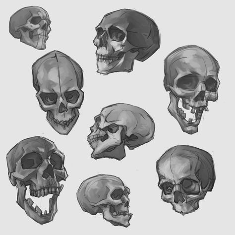 Skull Sketches (Gumroad Product), Austin DeGroot on ArtStation at https://www.artstation.com/artwork/mD2GaY Stylized Skull Drawing, Skull 3/4 View, Skull Art Reference, Skull Reference Drawing, Skull Concept Art, Sideways Skull, Skulls Sketch, Simple Skull Drawing, Skull References