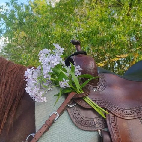 Earthy Nature Aesthetic, Cottage Cowgirl Aesthetic, Western Summer Aesthetic, Flower Fairy Aesthetic, Saddle Aesthetic, Nature Fairy Aesthetic, Soft Country Aesthetic, Fall Aesthetic Brown, Creatures Aesthetic