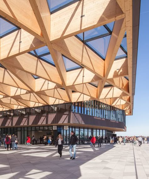 Timber Canopy, Architecture Art Nouveau, Canopy Architecture, Shigeru Ban, Timber Architecture, Fibreglass Roof, Backyard Canopy, Timber Roof, Wood Architecture