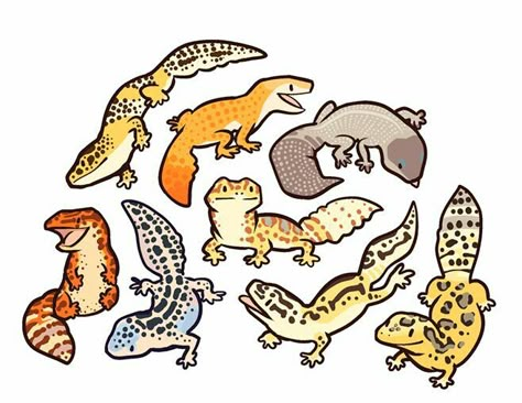 Gecko Drawing, Cute Leopard Gecko, Cute Gecko, Cute Lizard, Leopard Geckos, Cute Reptiles, Cute Leopard, Leopard Gecko, Arte Inspo