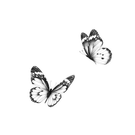 Cute Tattoos For Daughter, Realistic Monarch Butterfly Tattoo Black And White, Side Profile Butterfly Tattoo, Butterfly Tattoo Shaded, Cartoon Butterfly Tattoo, Tattoo Background Design, Two Butterflies Tattoo Design, Masculine Butterfly Tattoo, Two Butterfly Tattoo