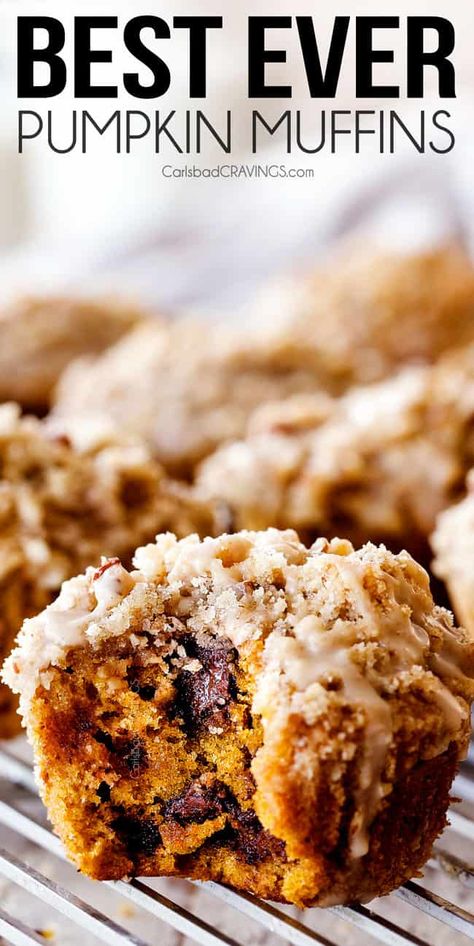 Sally’s Pumpkin Muffins, Best Pumpkin Chocolate Chip Muffins, Pumpkin Muffins With Nuts And Raisins, Pumpkin And Chocolate Chip Muffins, Pumpkin Chocolate Chip Streusel Muffins, Maple Pecan Pumpkin Muffins, Pumpkin Cinnamon Chip Muffins, Pumpkin Crunch Muffins, Pumpkin Butter Muffins