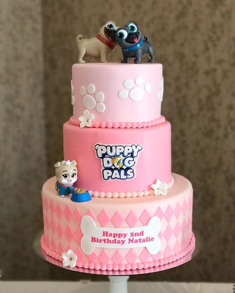 Puppy Pals Birthday Party Ideas, Puppy Dog Pals Birthday Party Girl, Puppy Dog Pals Birthday Cake, Birthday Sweets Table, Puppy Dog Pals Cake, Puppy Dog Pals Birthday Party, Dino Birthday Cake, Sweet Treats Party, Birthday Sweets