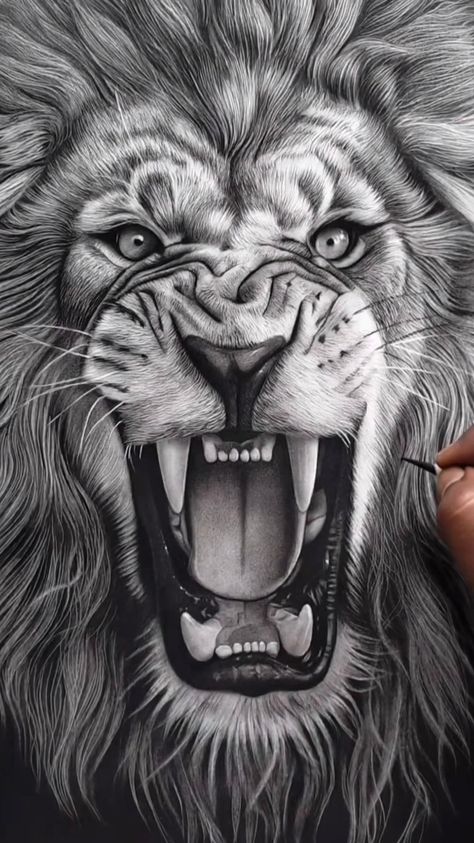 Aggressive Lion Tattoo, Lion Face Sketch, Lion Roaring Tattoo, Pencil Realistic Drawings, Lion Tiger Tattoo, Realistic Lion Drawing, Been Tattoo, Sketch Mouth, Roaring Lion Tattoo