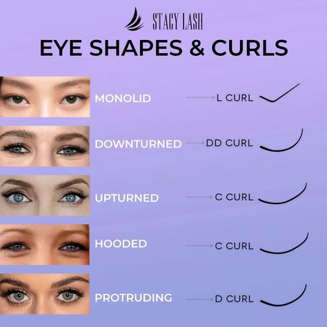 Different Types Of Lash Curls, Different Lash Curl Types, Mixing Lash Curls, Eyelashes For Different Eye Shapes, Lash Eye Shape, Lashes Curl Types, Eyelash Extensions Length Chart, Different Eye Shapes Lash Extensions, Best Eyelashes For Eye Shape