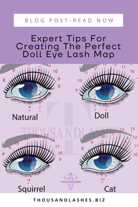 Car Eye Lash Extensions Map, Lash Extension Doll Eye, Small Eye Lash Map, Open Eye Lash Mapping, Open Eye Classic Lash Extensions Mapping, Open Doll Eye Lash Extensions, Lash Extensions For Hooded Eyes Map, Doll Eye Vs Open Eye Lash Extensions, Lash Extensions For Droopy Eyes