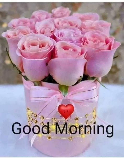 Good Morning Miss You, Wednesday Love, Good Morning Ji, Good Morning Friday Images, Good Morning Gift, Good Morning Wishes Friends, Talk Is Cheap, Good Morning Dear, Good Morning Wishes Gif