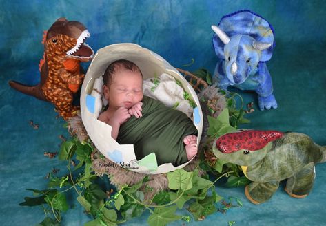 Dinosaur Newborn Pictures, Dinosaur Baby Photo Shoot, Dinosaur Monthly Photos, Newborn Dinosaur Photography, Dinosaur Themed Photoshoot, Dinosaur Photoshoot, Dinosaur Baby Shower Ideas, Dinosaur Photography, Sibling Photography Newborn