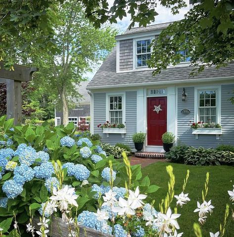 Cape Cod Landscaping, Cape Cod Kitchen, Cape Cod Exterior, Cape Cod House Exterior, New England House, New England Cottage, Cape Style Homes, New England Garden, Cape Cod Cottage