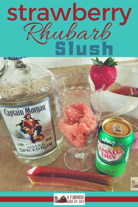 Strawberry Rhubarb Slush - A Farmish Kind of Life Rhubarb Slush, Slush Drinks, Alcoholic Slushies, Rhubarb Bars, Eggnog Recipe Homemade, Slushy Drinks, Vodka Recipes Drinks, Strawberry Slush, Slush Recipes