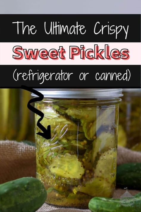 These Sweet Pickles from Binky's Culinary Carnival can be Quick Canned or Water Bath Canned, for longer storage! Once you make them yourself, you will never buy another store bought pickle! See all of our tips to keep them crispy. Best Sweet Pickle Recipe, Canning Sweet Pickles, Pickles Refrigerator, Sweet Pickles Homemade, Canning Pickles Recipe, Pickling Cucumbers Recipe, Sweet Pickles Recipe, Best Pickles, Canning Pickles