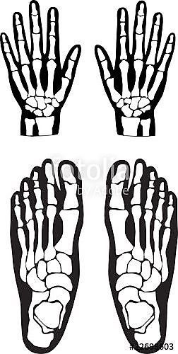 Costume Template, Skeleton Template, Body Skeleton, Den Mrtvých, Feet Drawing, Skeleton Pattern, Skeleton Drawings, Skeleton Svg, Skeleton Hand Tattoo